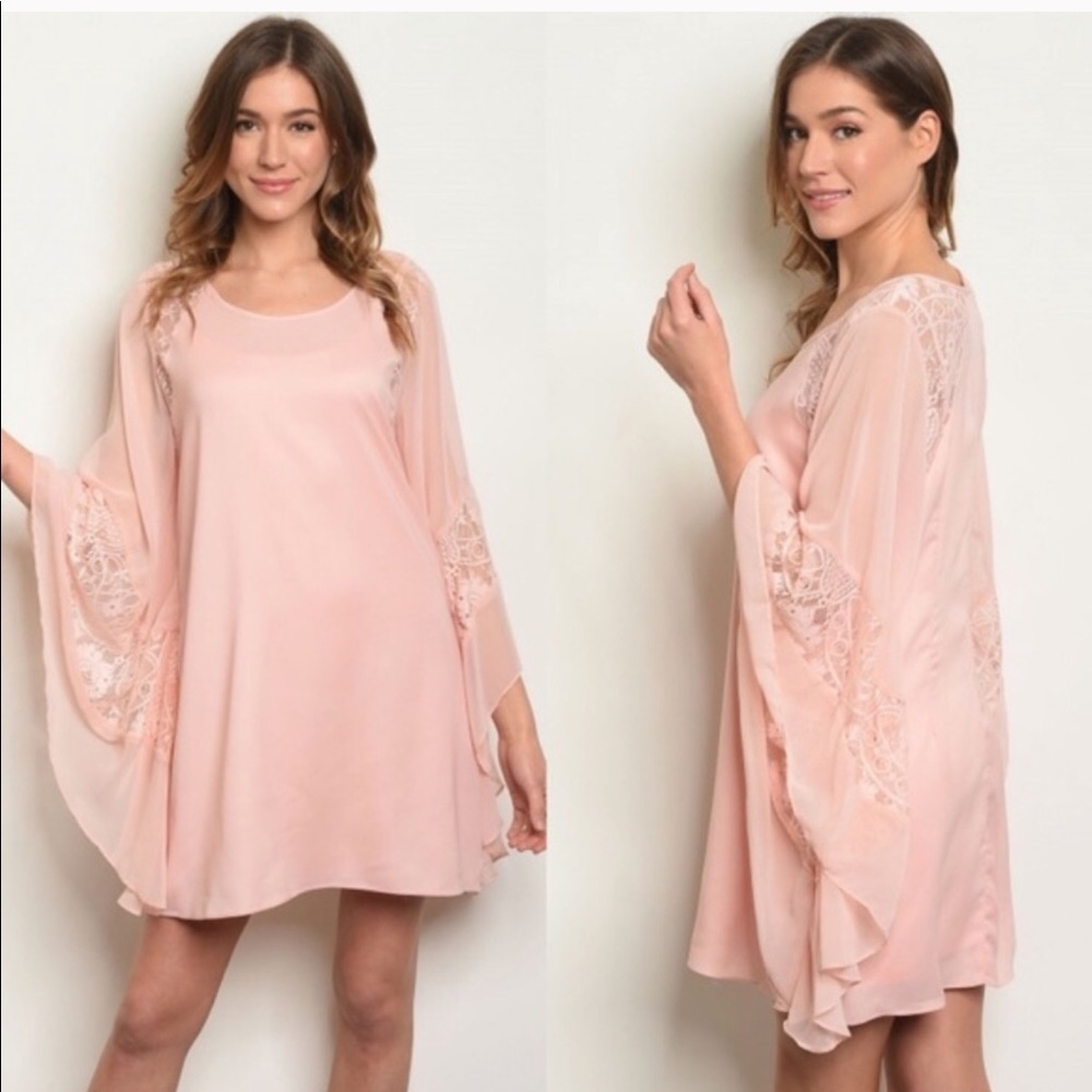 Blush long sleeve lace tunic with underlay slip